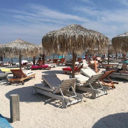 Mamaia Vip Apartment מראה חיצוני תמונה
